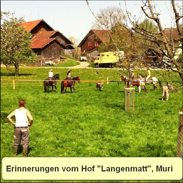 Hof Langenmatt, Muri