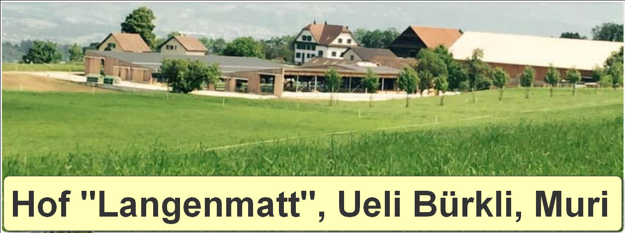 Hof Bürkli Langenmatt, Muri